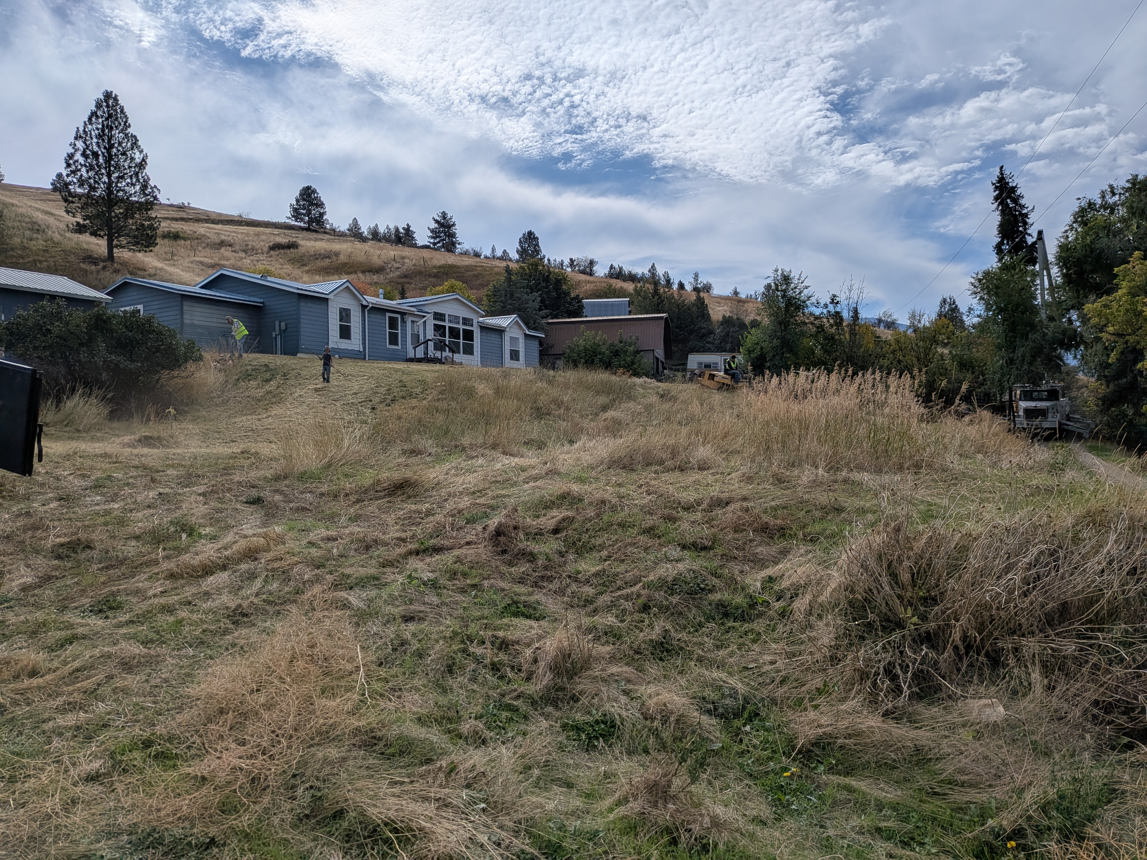 Overgrown yard with tall dry grass before cleanup