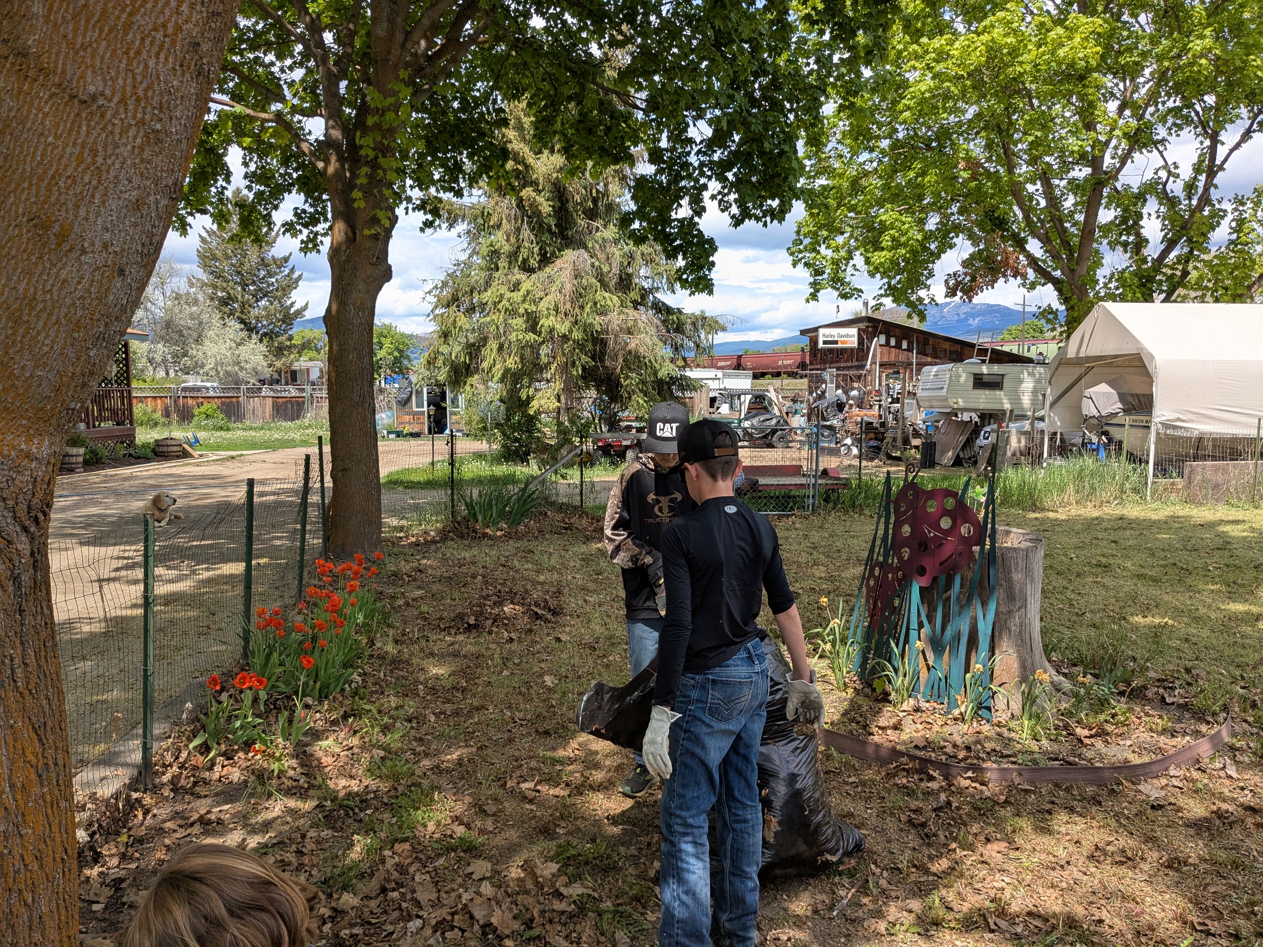 Volunteers gathered around a dump trailer under shade trees